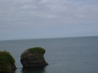 歯舞諸島1