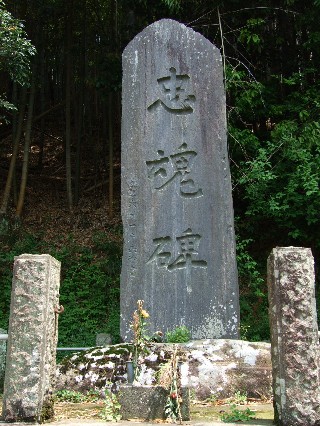 �麲��