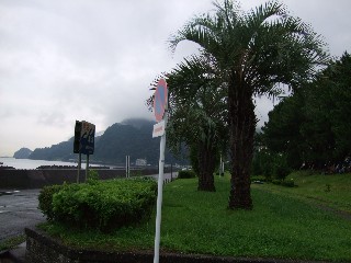 ���褤�θ���