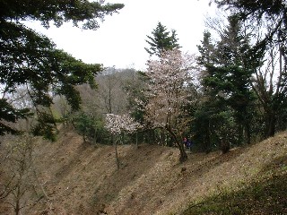 宮が瀬越えから見た仏果山山頂